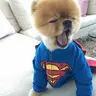 JIFFINATOR