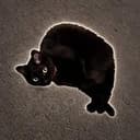 shrimpcat
