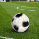 CATBALL