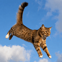 FCAT