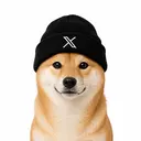 XDOG