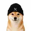 XDOG