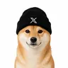 XDOG