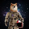 MOONDOGE