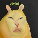 v0y4g3