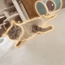 Fuu