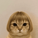 BOB