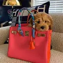 BIRKIN