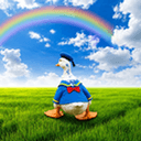 Donald Duc