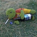 DTOAD