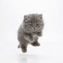 ˢᵐᵒˡ
