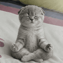 zen