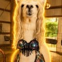 LLAMA