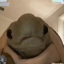 Tortuga
