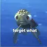 Dont Forget