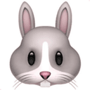 🐰