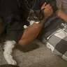 STU