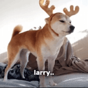 larry