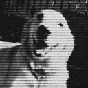 BearInu