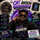 THE CAT ANSEM