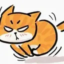 橘猫