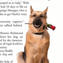 HACHI