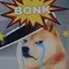 DOGEBONK