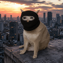 CASHCAT