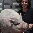 waddles