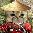 mao mao