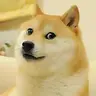 Kabosu