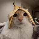 WIFNANA