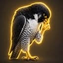 HAWK