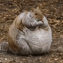 baymax