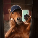 SELFIE