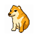 CASHDOG