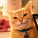 smirkingcat