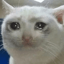 SadCat