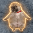 Potato