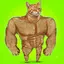 BUFFCAT