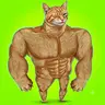 BUFFCAT