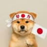 INU