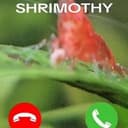 shrimothy