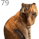 jjaemu
