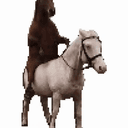 horse²