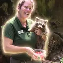 Wendi