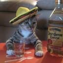 MEXCAT