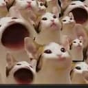 KETIE???