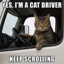 CATDRIVER