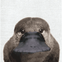 Guh